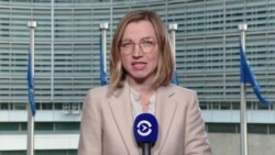 Страны Балтии ввели санкции против основателя партии "Грузинская мечта" Бидзины Иванишвили и руководства МВД Грузии