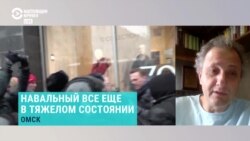 Политолог Андрей Колесников – об отказе врачей перевозить Навального в Германию